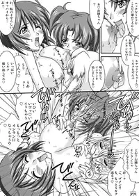 (Mimiket 12) [LUCK&PLUCK!Co. (Ananomiya Haruka)] Computer Children (Mobile Suit Gundam SEED DESTINY)