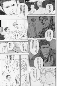 (C84) [clr, 12.5 (Akizou, Mizuki)] Answer (Resident Evil)