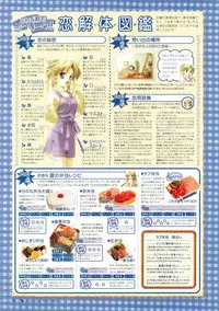 Canvas Visual Fan Book