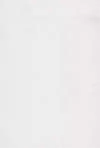 (Puniket 12) [Ryuuseidou Honpo (Ryuudou Hiromi)] Magical Night (Fushigiboshi no Futagohime)