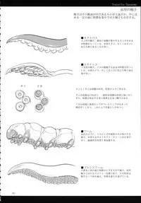 (C89) [SHIS (Z-ton)] A Beautiful Greed Z-ton Jingai Soushuuhen
