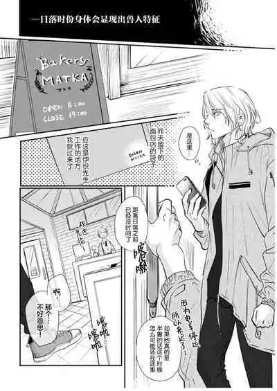 Ippiki Ookami, Koi o Suru | 坠入爱河的狼