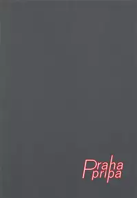 (Prism Jump 22) [Prahapripa (Rinsun)] AroMikadon ~Mikan ni Chinchin Haechatta no!~ (PriPara) [Chinese]