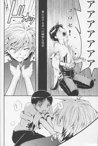 (C77) [RAYTREC (Fuyunagi Reku)] +PLUS (Neon Genesis Evangelion)