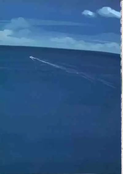 TAKAMICHI SUMMER WORKS