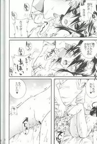 (C66) [PONCHEES (Kari) (Irohane Sui)] PIKA☆☆NCHI (Bleach)