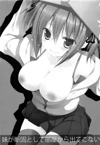 (COMITIA101) [Petite＊Cerisier (Sakura Hanpen)] Imouto ga Danko to shite Heya Kara Detekonai.