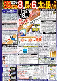 COMIC Shitsurakuten 2009-02