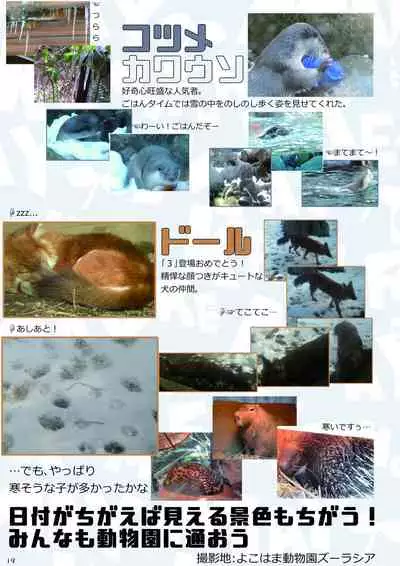 may Kemono Friends Thre Goudoushi 2