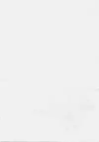 (C72) [SAZ (Onsoku Zekuu, soba)] NO-NA-I Cheat (Heart) (Mahou Shoujo Lyrical Nanoha StrikerS)