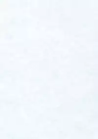 (C67) [ZiP (HIRORIN, Moekibara Fumitake)] Thank you My Platinum lights (Platinum Wind)