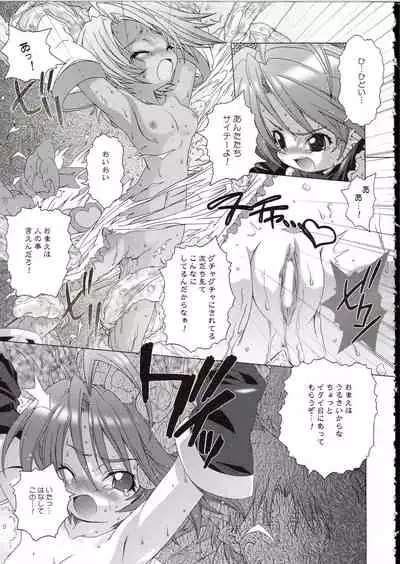 (C67) [DiGiEL (Yoshinaga Eikichi)] Blan Brulee (Futari wa Precure)