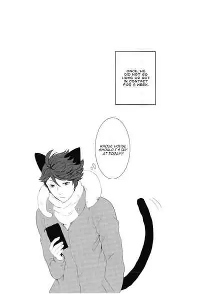 (RTS!!7) [Rototika (Kamishi Yue)] Iwa-chan no Neko ni Naritai | I Want To Be Iwa-Chan’s Cat (Haikyu!!) [English]