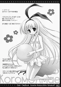 [Rio Grande (Mitsui Mana)] Korette Nodocchitte Yatsukai!? (Saki)