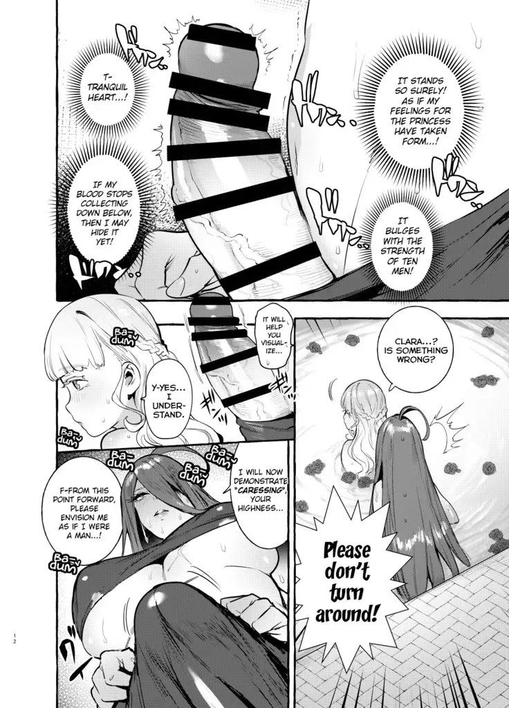 Ochinpo Onna Knight to Shojo Hime | The Princess and the Knight of the Dick