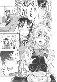 (C81) [Pigeon Blood (Asou Shin)] LOVE OR LUST (Touhou Project)