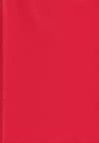 (C84) [Kanyou Shounen (URA)] Magical Zundoko Fire (Magi: The Labyrinth of Magic) [English] {Hennojin}