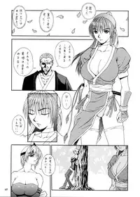 (CR28) [MANGANA (Doluta, Nishimo)] Nyan Nyan KUNOICHI (Dead or Alive, King of Fighters)