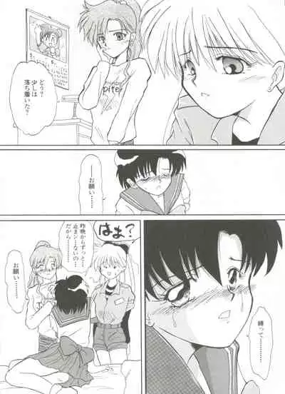 Shin Bishoujo Shoukougun 1 Reimei Hen