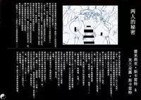 (C86) [Chroma of Wall (saitom)] Gensoukyou Inkou Kirokushuu (Touhou Project) [Chinese] [烂肉X伞尖]