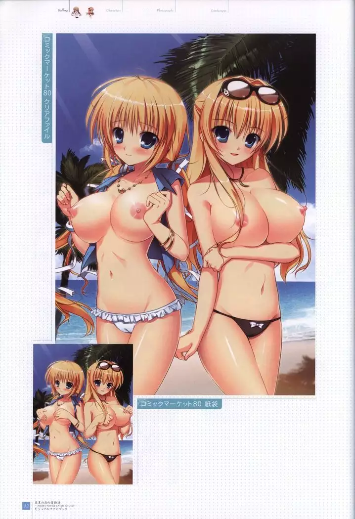 Manatsu no Yoru no Yukimonogatari -MIDSUMMER SNOW NIGHT- Visual Fanbook