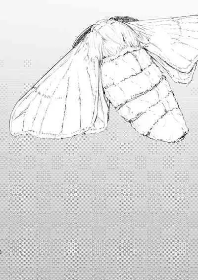 [Sakekan Memorial (SOLOPIPB)] Shiragasane Kire (Shiragasane Soushuuhen Koromo) [English] [Kafka]+[rampantserenity]+[Lazarus H]+[TSHH] [Digital] [FULL COMPILATION]