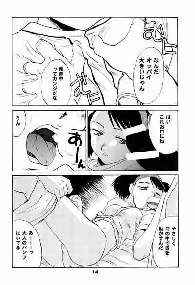 (C59) [Itaba Tatamiten (Itaba Hiroshi)] NiSeMoNo 6