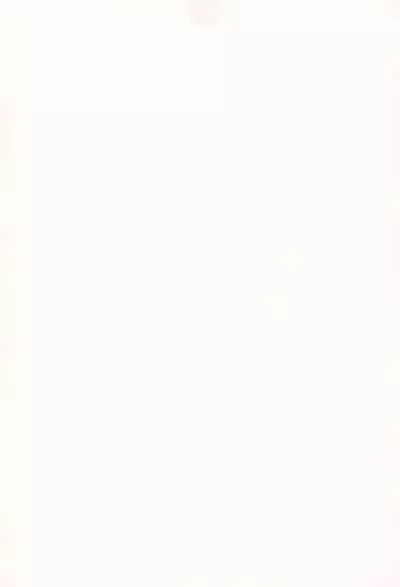 Kanoka Challenge_plot 2