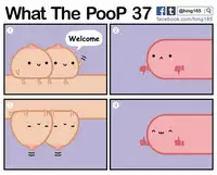 What the PooP [On Going]