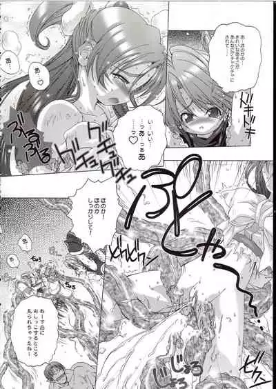 (C67) [DiGiEL (Yoshinaga Eikichi)] Blan Brulee (Futari wa Precure)