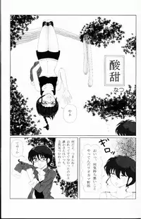 (C76) [LETTA, Romantic Shinjuu (Various)] Hyakka Ran Ran (Ranma 1/2)