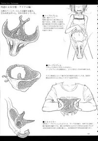 (C89) [SHIS (Z-ton)] A Beautiful Greed Z-ton Jingai Soushuuhen