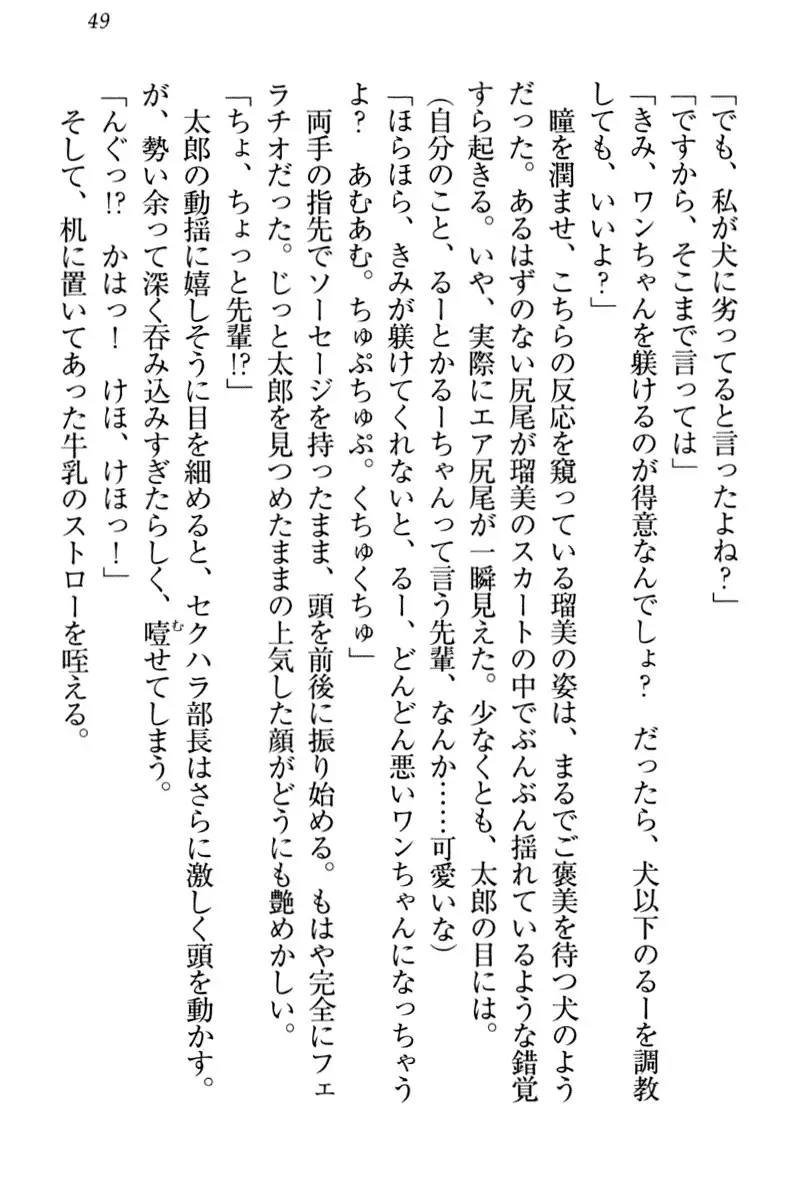 Boku to Ruu Senpai no Houkago Choukyou Nisshi - Kyou mo Watashi o Shitsukenasai!