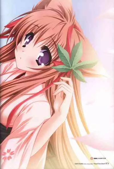 Tayutama -Kiss on My Deity- Visual Fanbook