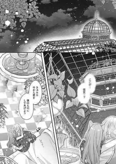 Nene to Ikoku no Mahoutsukai Isekai ni Shoukan Sareta to Omottara, Naze ka Koneko to shite Aigan Saretemasu 1-5