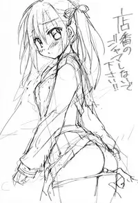 (SC2017 Winter) [KOKIKKO (Sesena Yau)] Miseban no Jama Shinaidekudasai!![Chinese] [小花花同盟戰線x脸肿汉化]