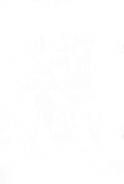 (Loketto 5) [ASTRA'S (AStra)] Otetsudai (Megaman)