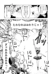 (Reitaisai 9) [Tsukiyomi (Porurin)] ShinreibyouVSTengu (Touhou Project)