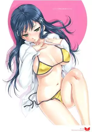 八宝備仁画集 紅蝶(ほてり)