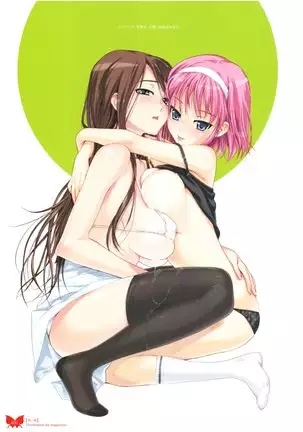 八宝備仁画集 紅蝶(ほてり)