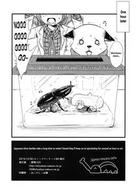 (C89) [02 (Harasaki)] Shinmyoumaru VS Caucasus Ookabuto | Shinmyoumaru VS Japanese Rhinoceros Beetle (Touhou Project) [English]