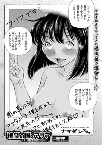 COMIC Mate Legend Vol. 18 2017-12 [Digital]