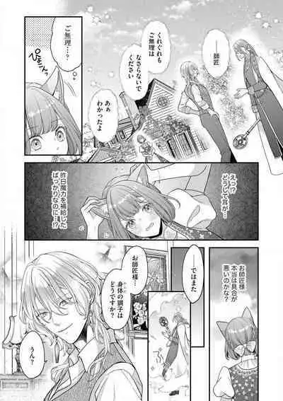 Nene to Ikoku no Mahoutsukai Isekai ni Shoukan Sareta to Omottara, Naze ka Koneko to shite Aigan Saretemasu 1-5