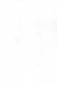 (C64) [Status Doku (Isawa Nohri)] P.P.Plan 4 (Ojamajo Doremi)