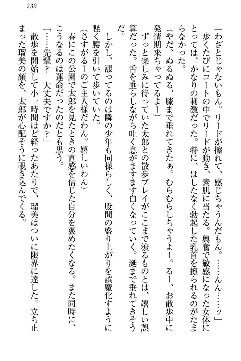 Boku to Ruu Senpai no Houkago Choukyou Nisshi - Kyou mo Watashi o Shitsukenasai!