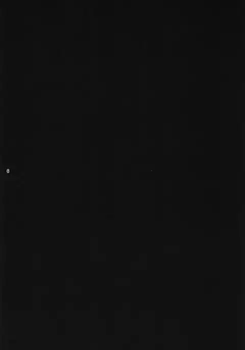 翔鶴魂-SHOKAKU SPIRITS- アズールレーン