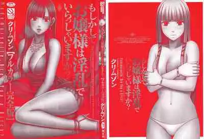 Muriyari Okasarete Konna ni Kanjite Shimawareru Nante… Moshikashite Ojousama wa Inran de Irasshaimasuka?