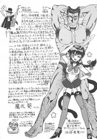 [Ayasaka Mitsune] Tottemo DANGER Bunny-chan!! SIDE-B