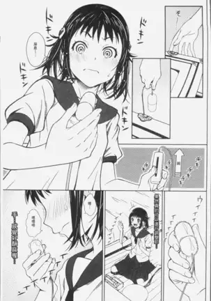 朽ち果てた箱の中