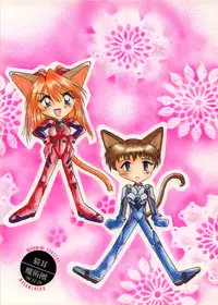 (C51) [Nekomimi Sorcery (Masamineko)] Ebaneko (Neon Genesis Evangelion)